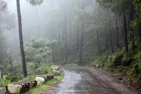 Kasauli Tour Packages